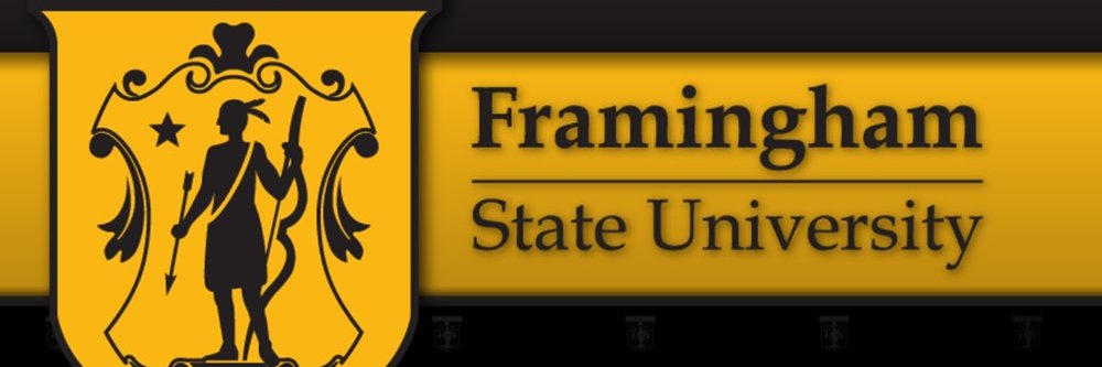 FSUStudentGov's profile banner image