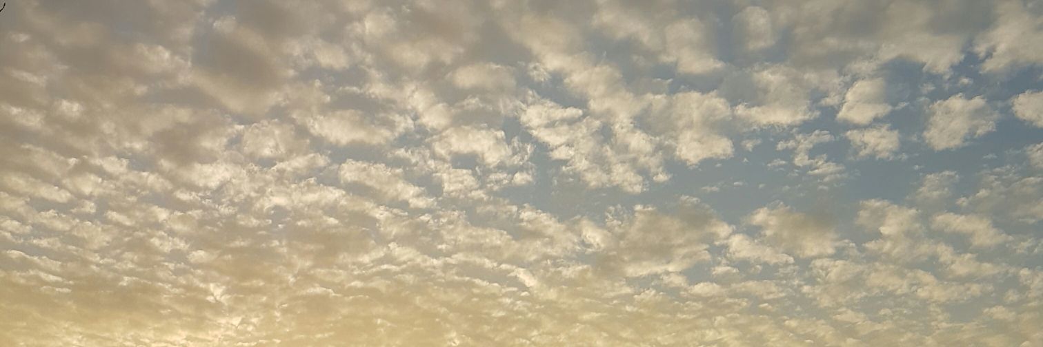 SampleSiren's profile banner image