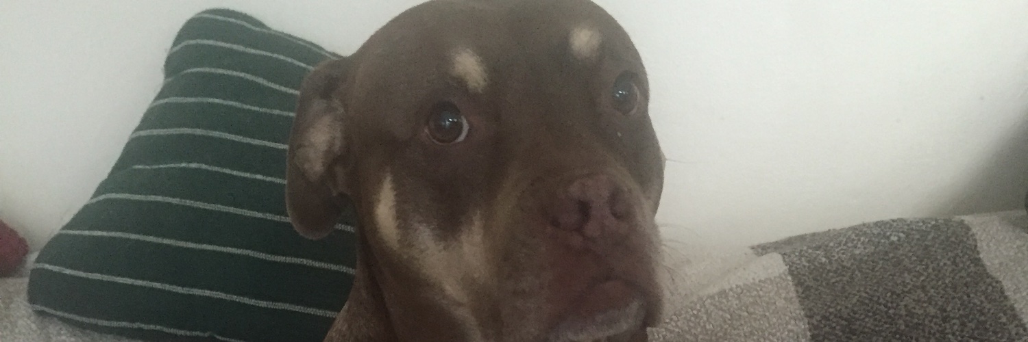 frankonian's profile banner image