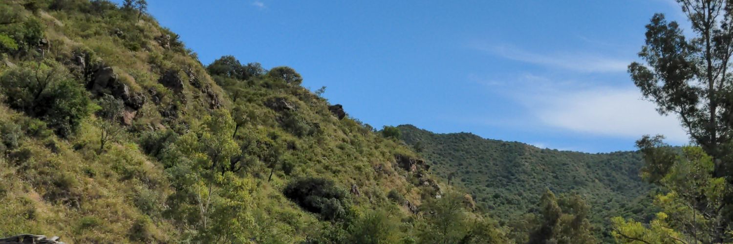 jpbossi's profile banner image