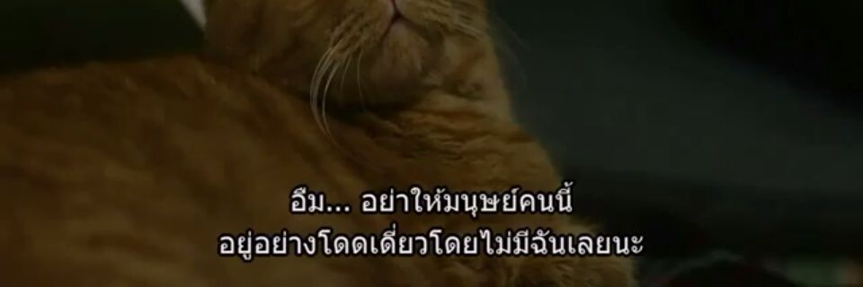 🌙ฉันผู้เดียวดาย banner