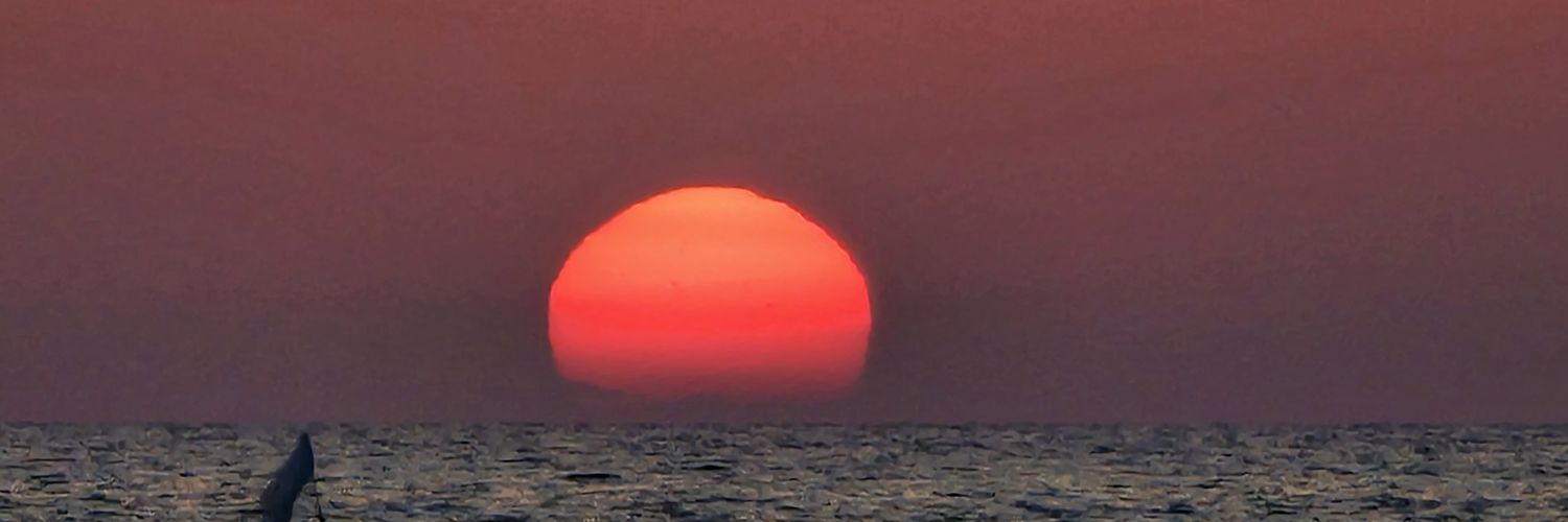 leo_luc's profile banner image