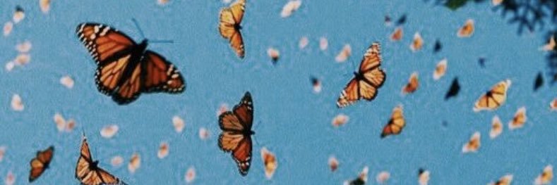 ohandrea's profile banner image