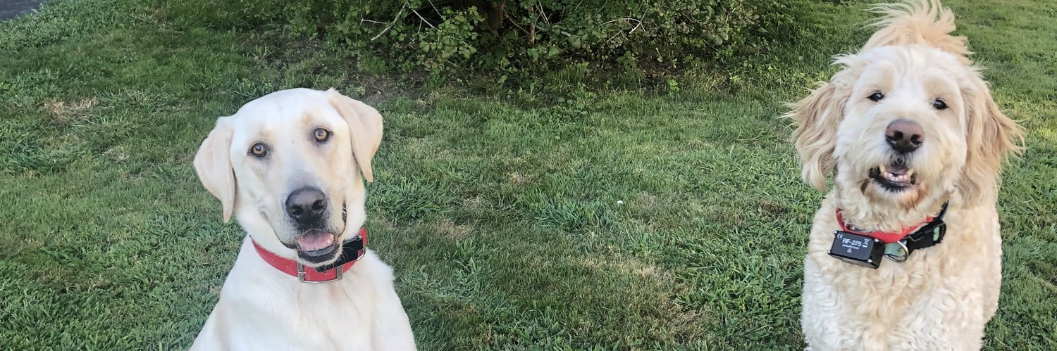 Katie_Merritt_'s profile banner image