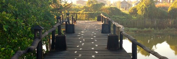 jesshanghai Profile Banner