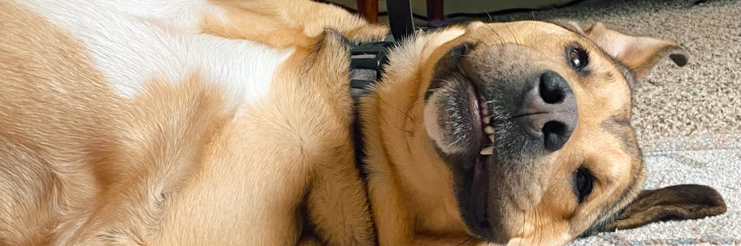 brittneyyannee's profile banner image