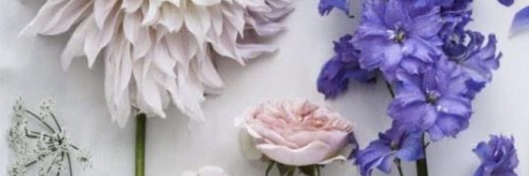 Alice_Owen94's profile banner image