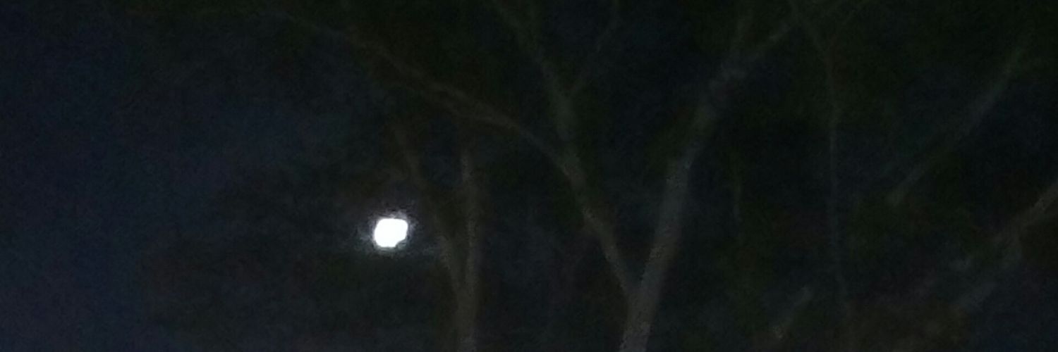 dragonpantera's profile banner image