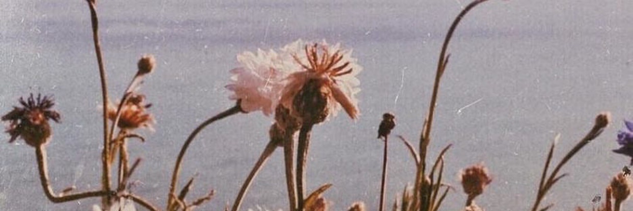 tugarslan's profile banner image