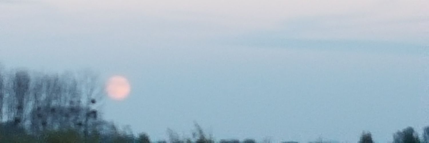 beedeeboum's profile banner image