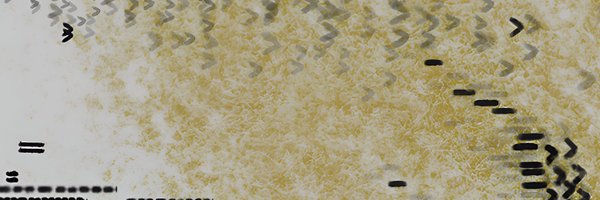 LoneWick_ Profile Banner