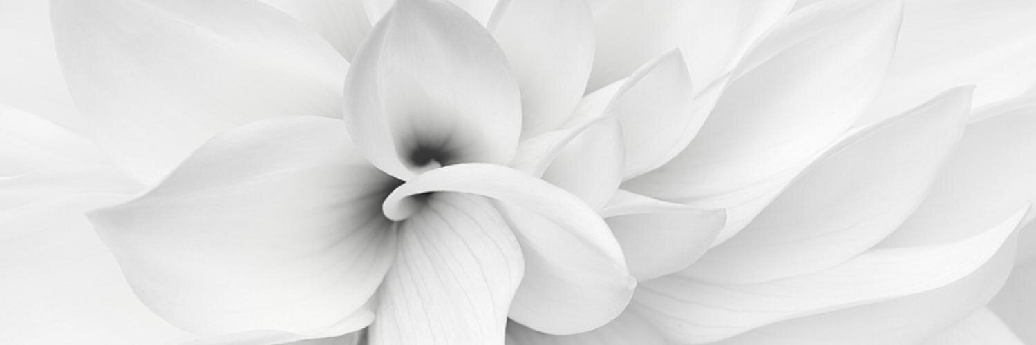 AlyssaF54's profile banner image