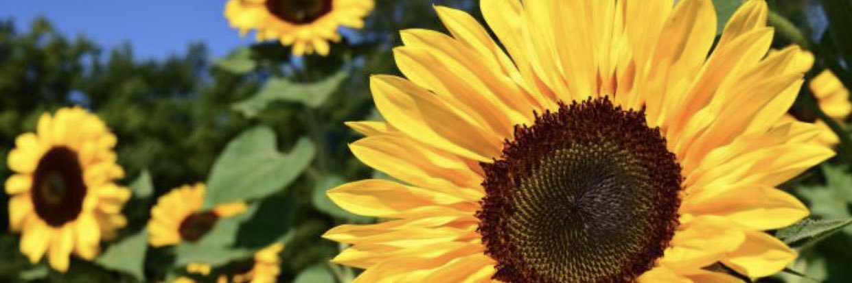 _PeaceNLuv_'s profile banner image