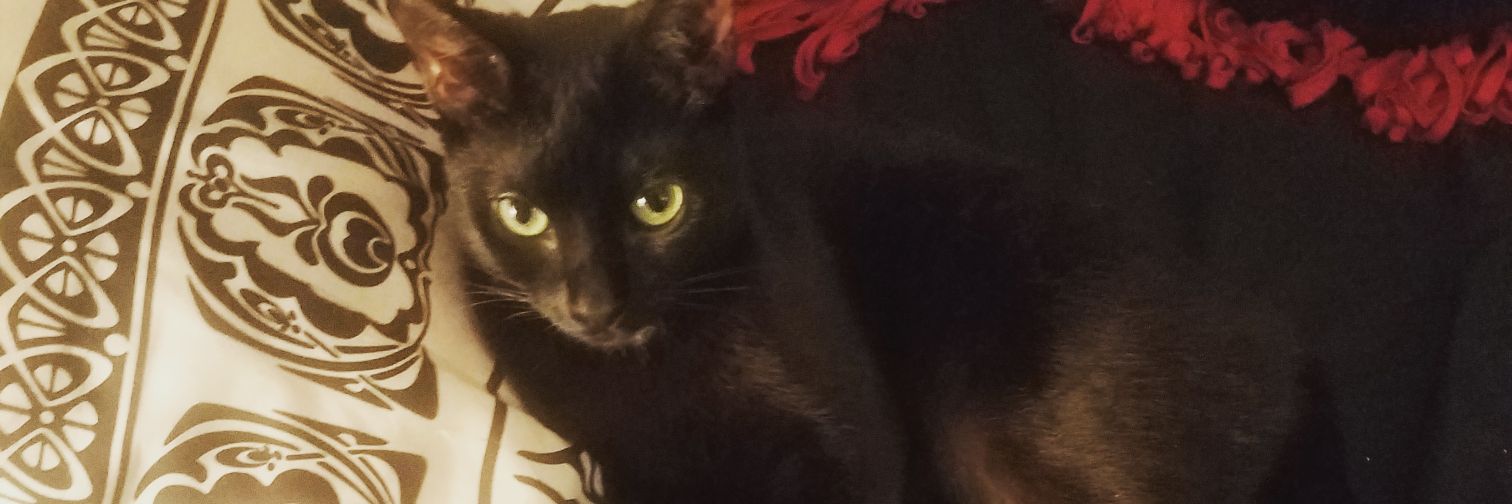 AkashaHeartilly's profile banner image