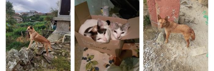 Alberto López banner