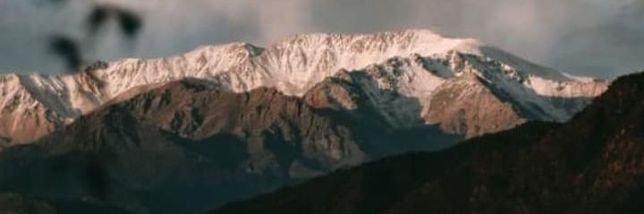 MeelDividos's profile banner image