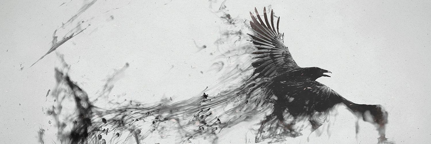 femadiz's profile banner image