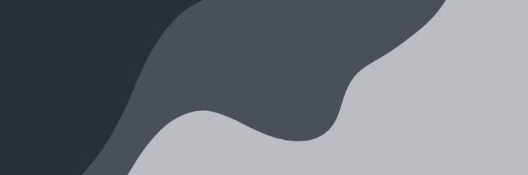 Julio Vega banner
