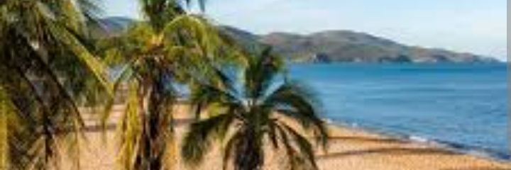 enith_gonzalez's profile banner image