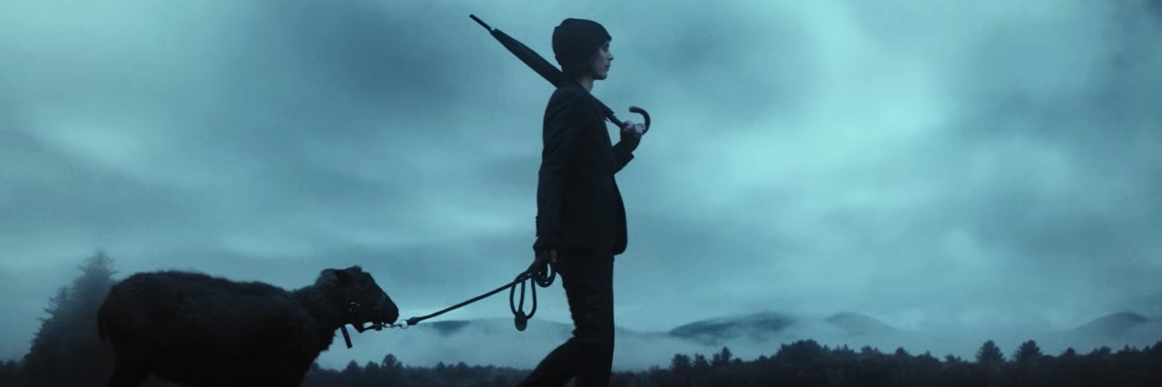 DorochenKiss's profile banner image