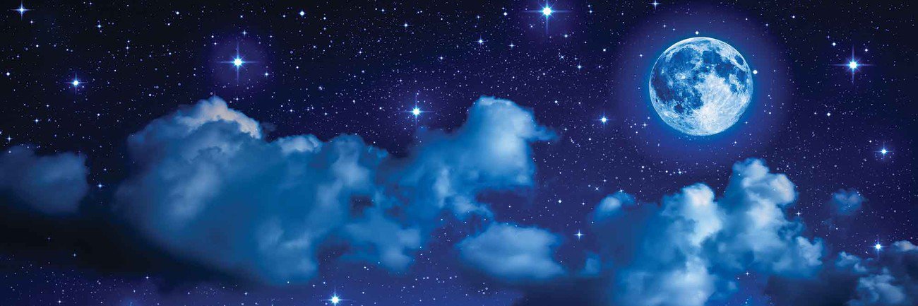 f0232174's profile banner image