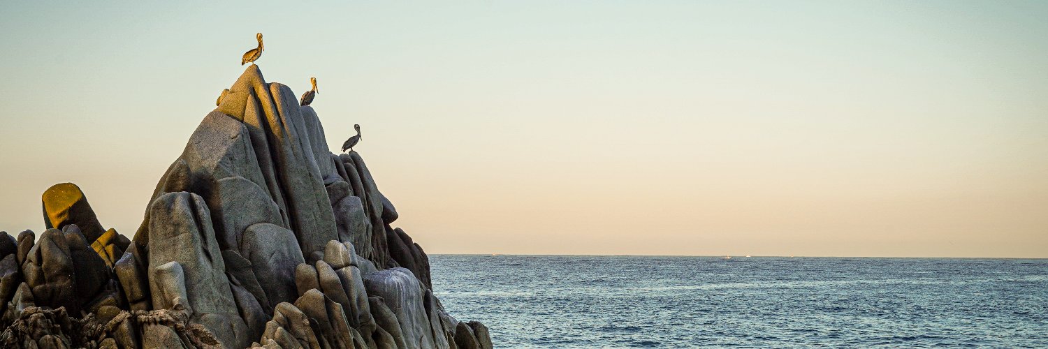 DJHassel's profile banner image