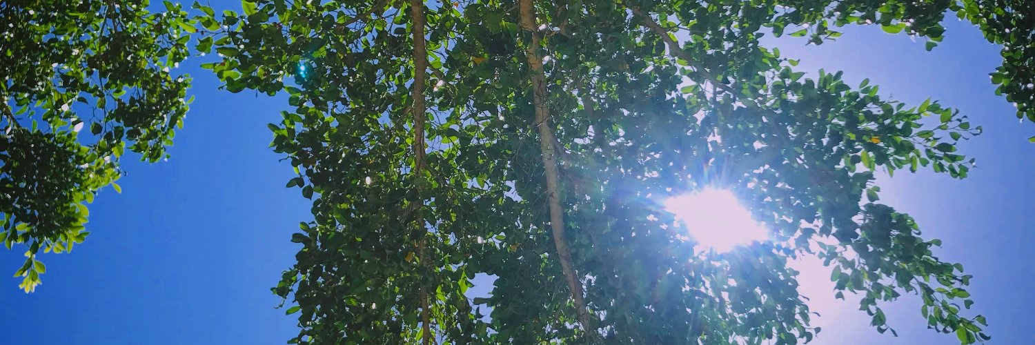 ivanbeor's profile banner image