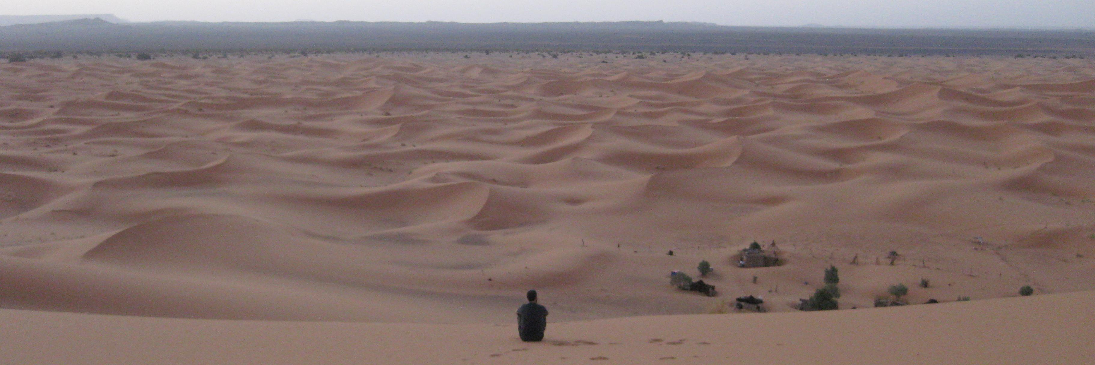 David Bordonaba Plou banner