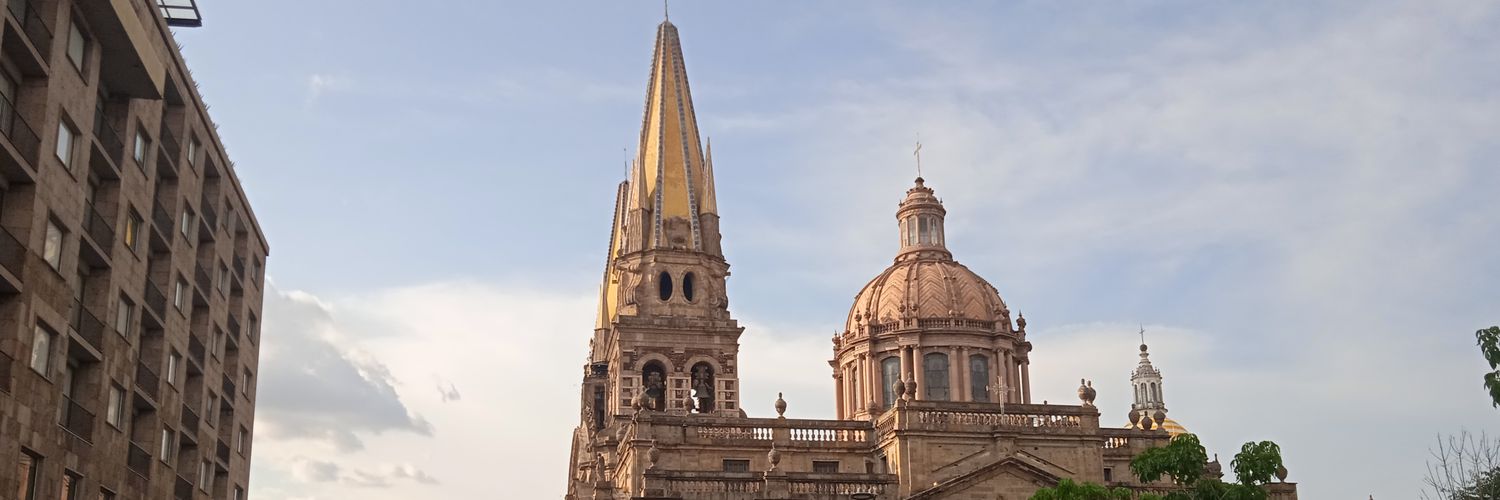 SalcedoPalacios's profile banner image