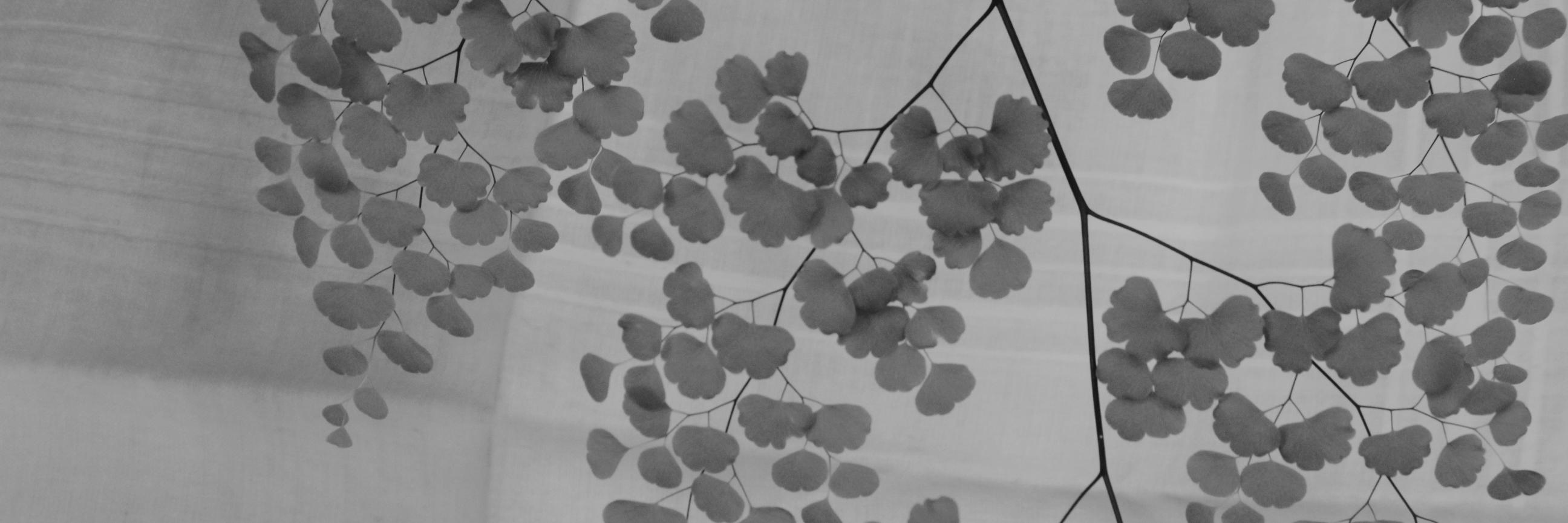 dsantistour4's profile banner image
