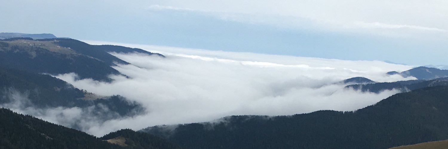 Taneraydn3's profile banner image