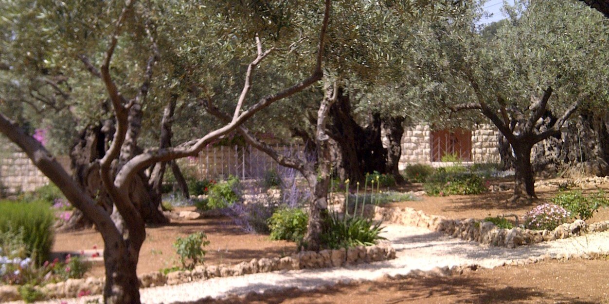 🍀René Tabilo banner