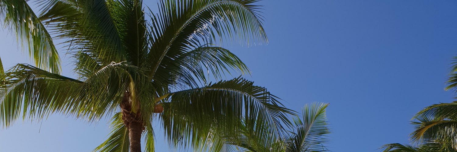 japsandrs's profile banner image