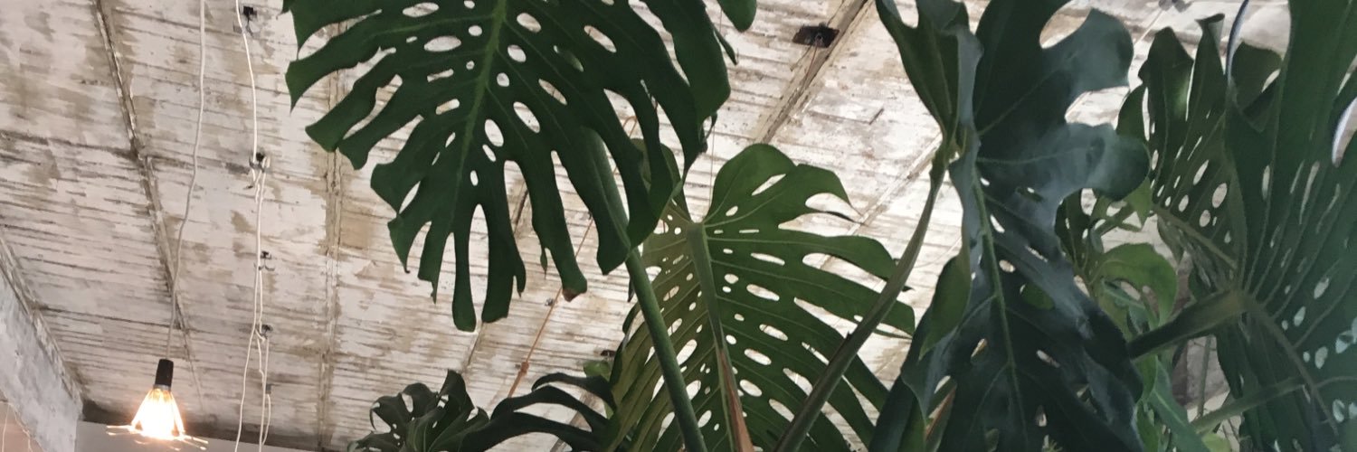 nxy0708's profile banner image