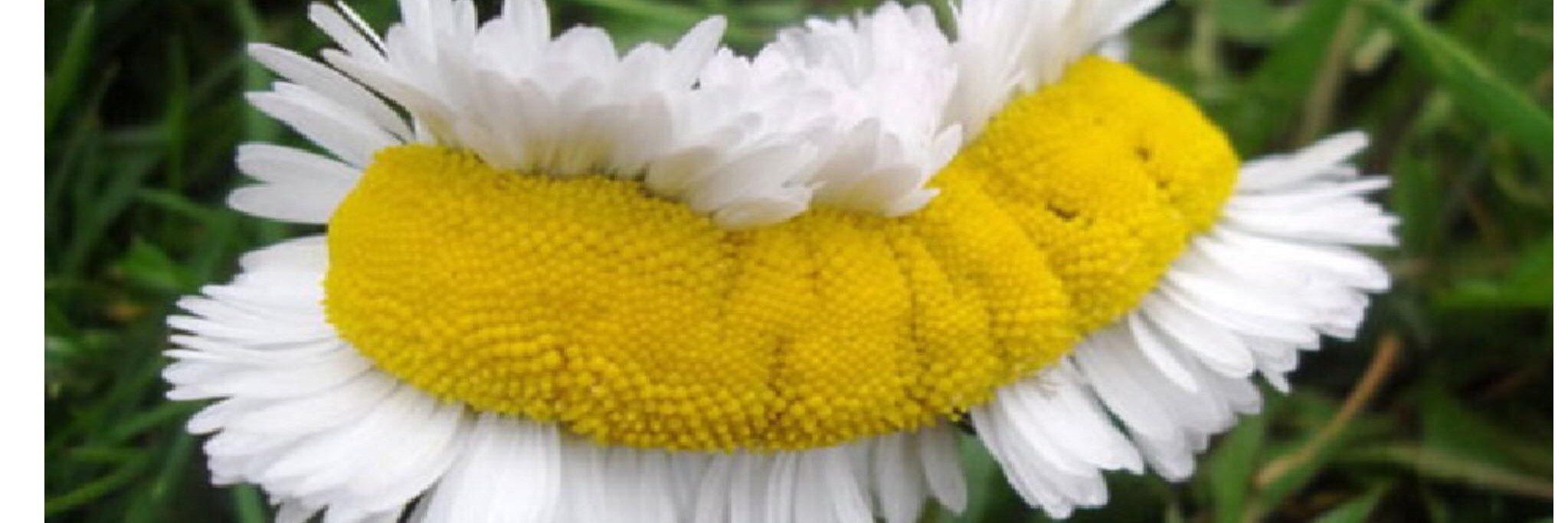 diego_basdeo's profile banner image