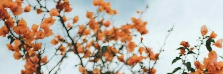 agusmartinezq's profile banner image