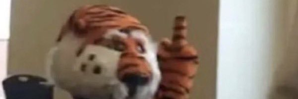 Rain_maker_13's profile banner image
