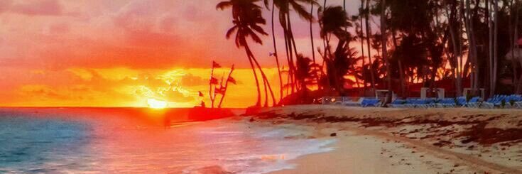 nena038's profile banner image