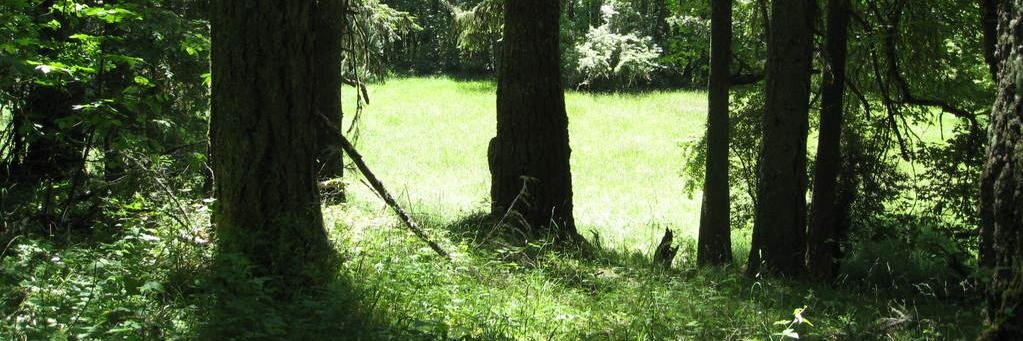 erika 🇺🇸 banner