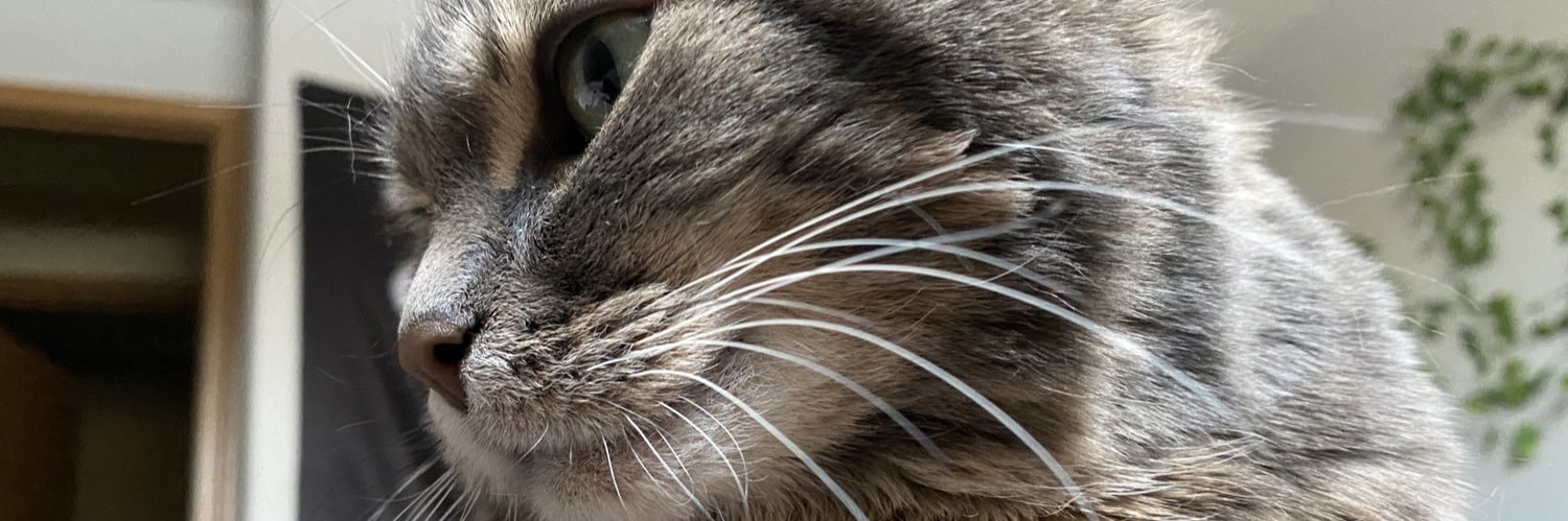 sierradrewxo's profile banner image
