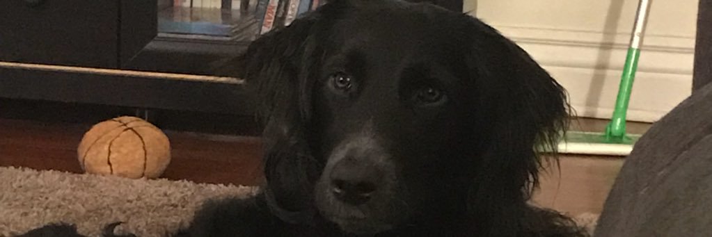 RKaschalk's profile banner image