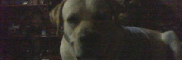 Martinperozo10's profile banner image