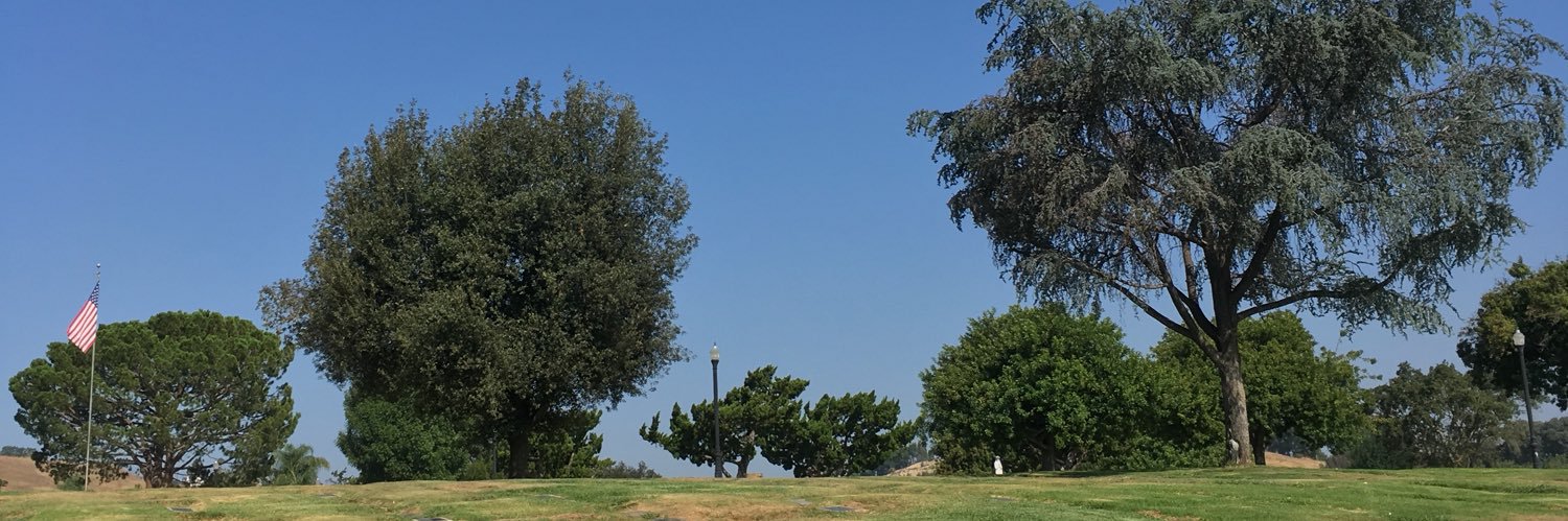 r0llers's profile banner image