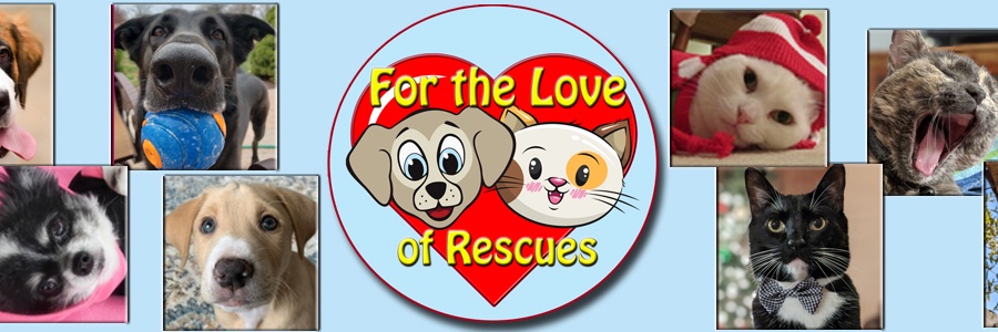 ForLoveofRescue's profile banner image