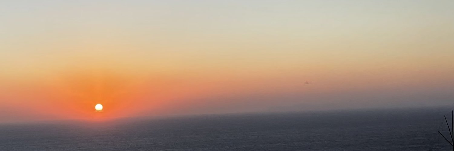 Ariella Arida banner