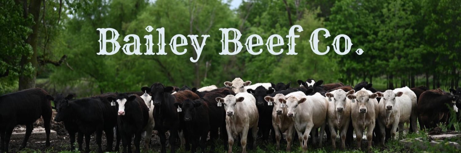 AustinBailey_1's profile banner image