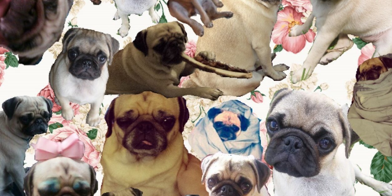 elyce_swagg's profile banner image