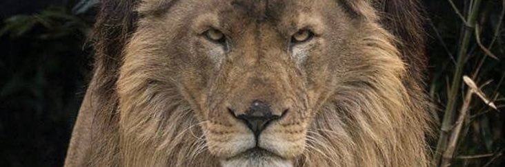 34_burak34's profile banner image
