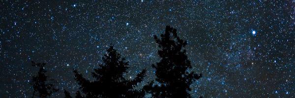 DHALL_4's profile banner image