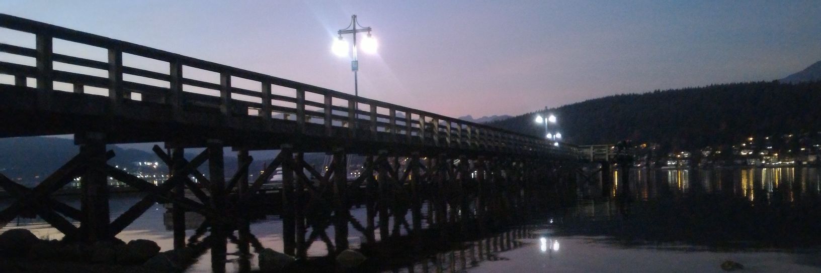 skeleton_orb's profile banner image